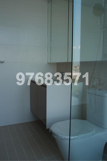 Hundred Trees (D5), Condominium #79259792
